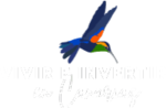 Vivir e invertir en Canarias